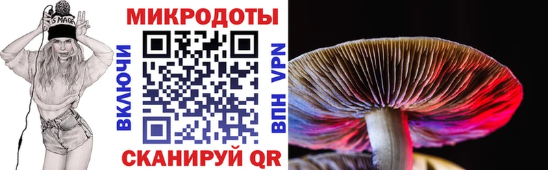 Галлюциногенные грибы прущие грибы  Сретенск 